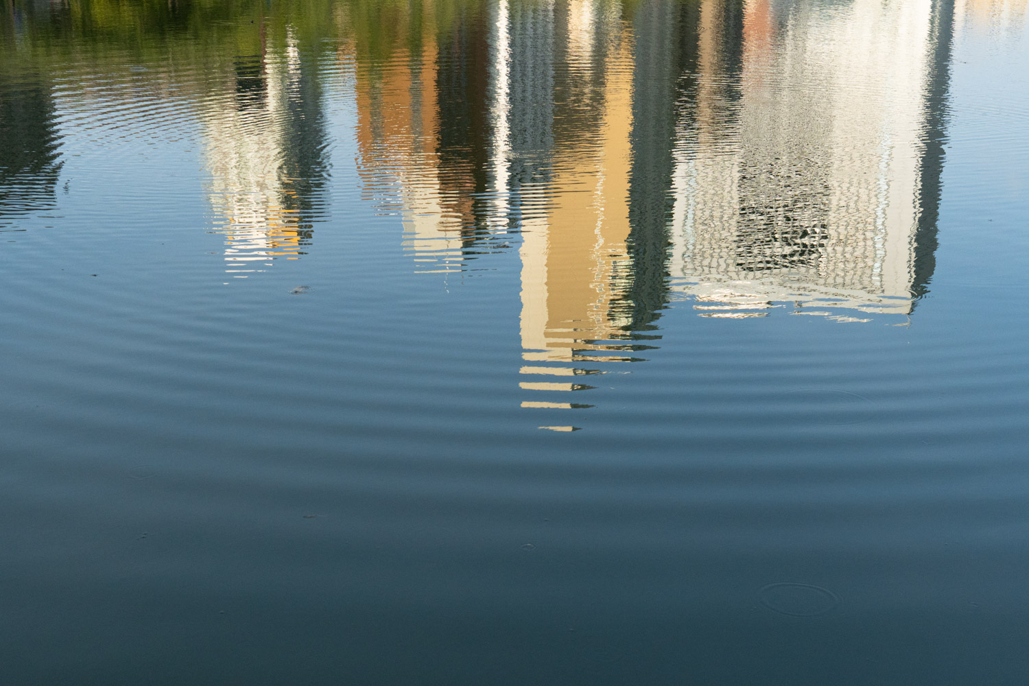 photo02.jpg